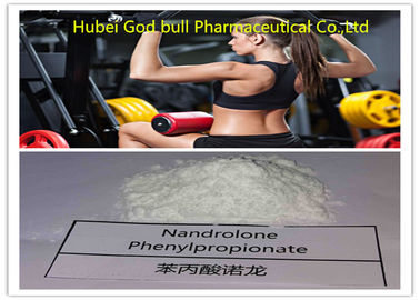 중국 Nandrolone Phenylpropionate 62-90-8 분말 크게 하는 주기 스테로이드 적당 협력 업체
