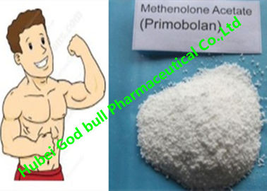 중국 Methenolone 아세테이트 남성홀몬 신진대사 스테로이드 207-097-0 근육 Primobolan 협력 업체