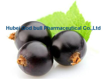 중국 노화 방지 CAS 84082-34-8를 위한 어두운 자주색 까막까치밥 나무 추출물 Ribes Nigrum L 협력 업체