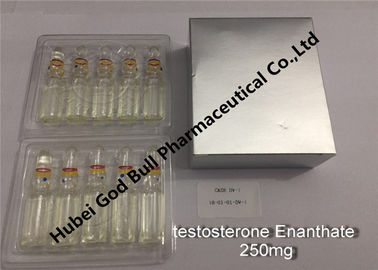 중국 테스토스테론 enanthate 주사 가능한 신진대사 스테로이드 주입 250mg/ml 1ml/vial 최고 질 협력 업체